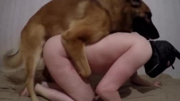 Собака Насилует Порно