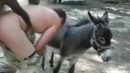 Пони трахает мужика гея в жопу. Гкй зоо порно видео с животными